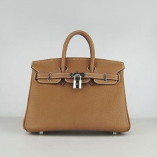 Hermes Birkin 25cm Borsa a mano 6068 argento caffè chiaro